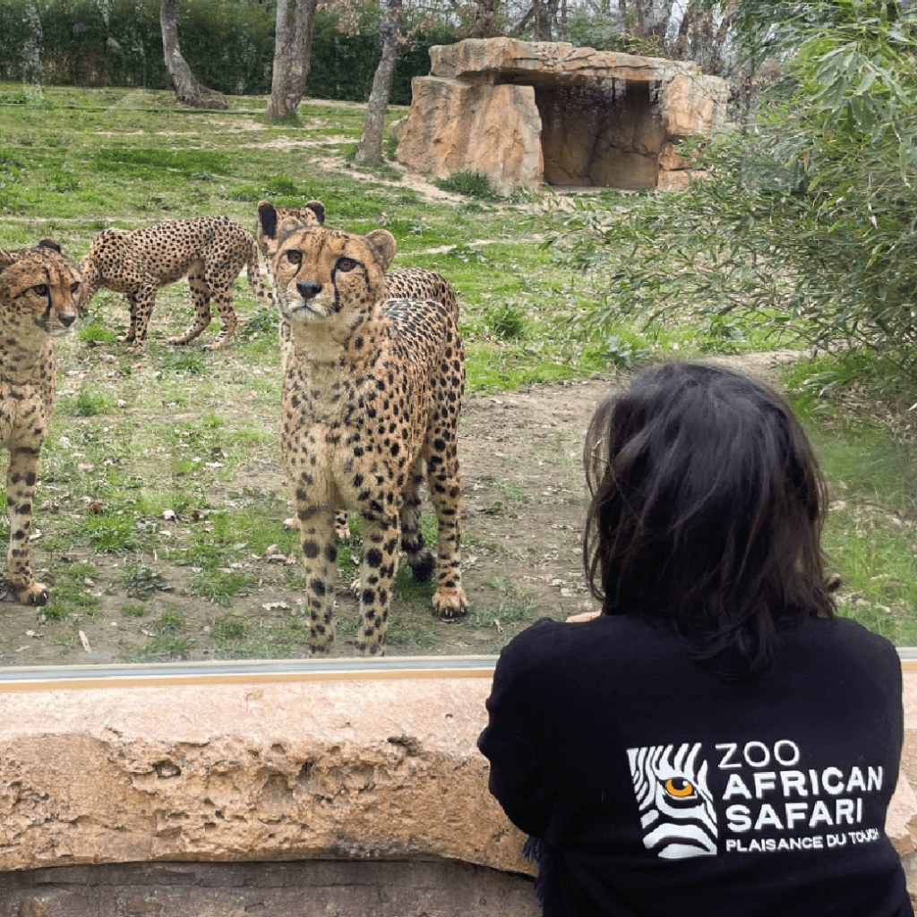 zoo african safari soigneur d'un jour