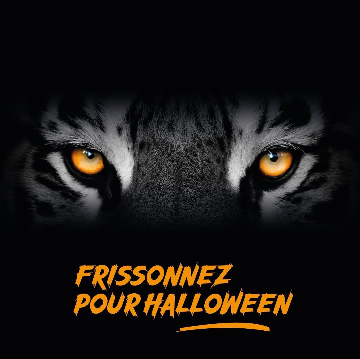 Halloween 2022 Toulouse au zoo que faire en famille
