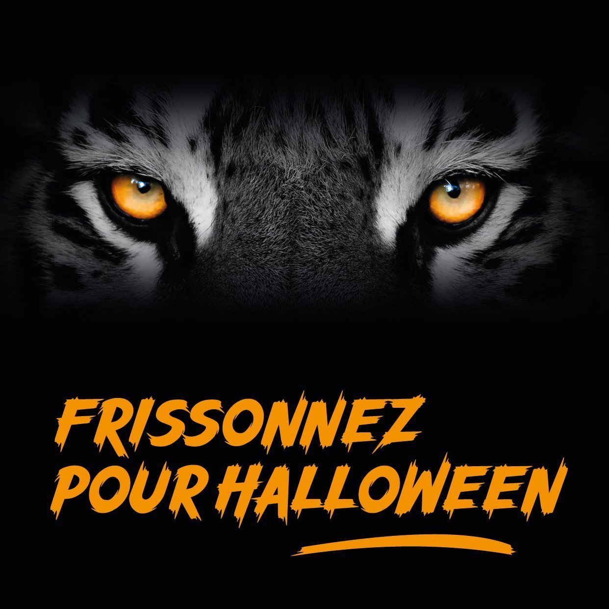 Halloween 2022 Toulouse au zoo que faire en famille