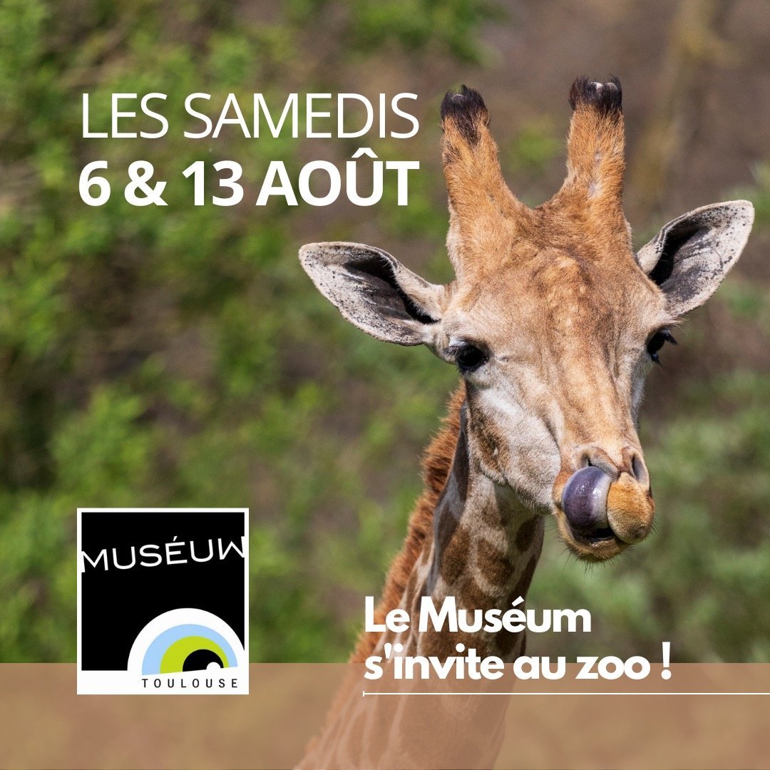Muséum de Toulouse s'invite au zoo