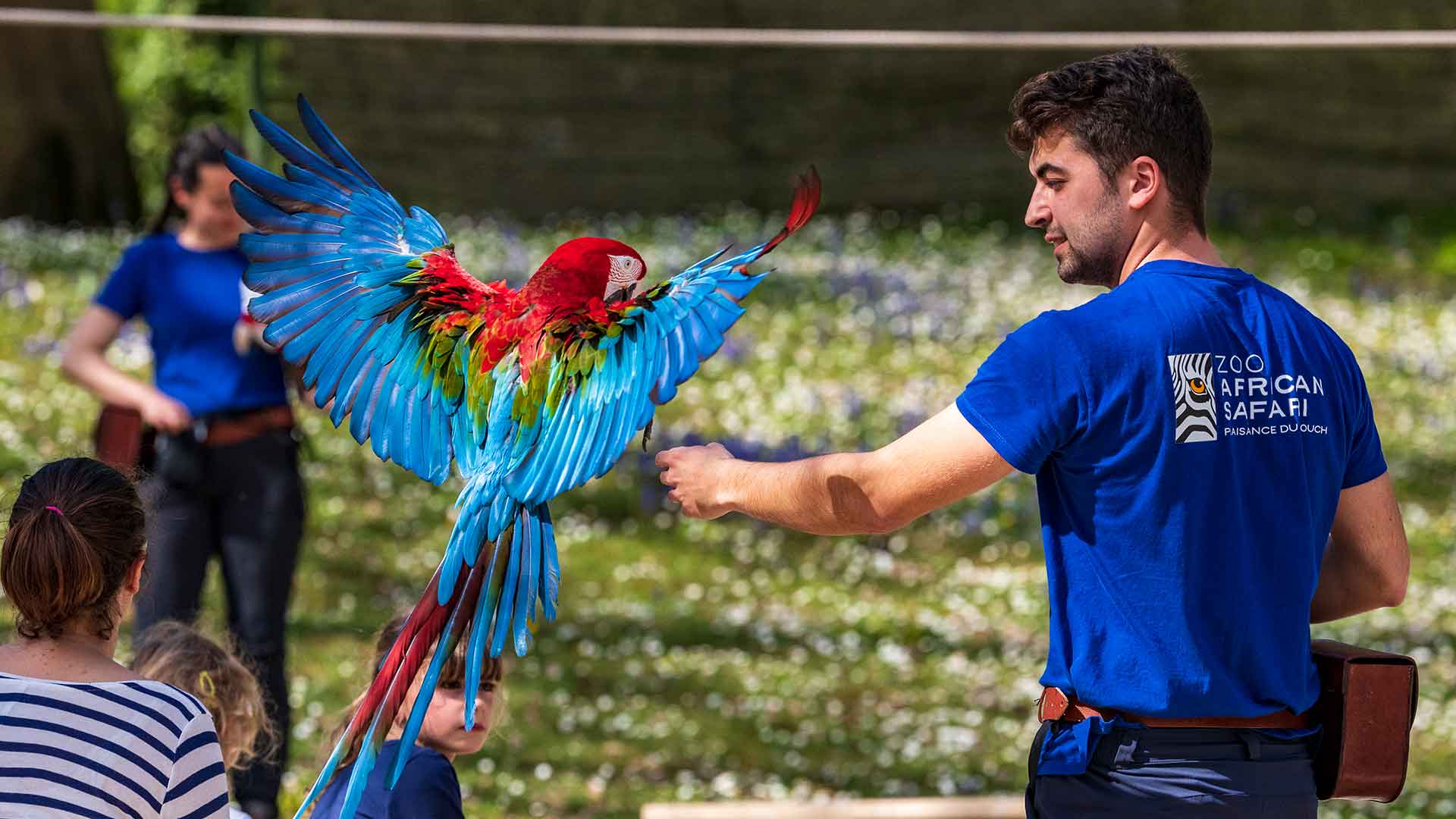 zoo african safari soigneur d'un jour
